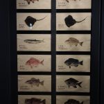 ひさびさ京都（4）京都水族館