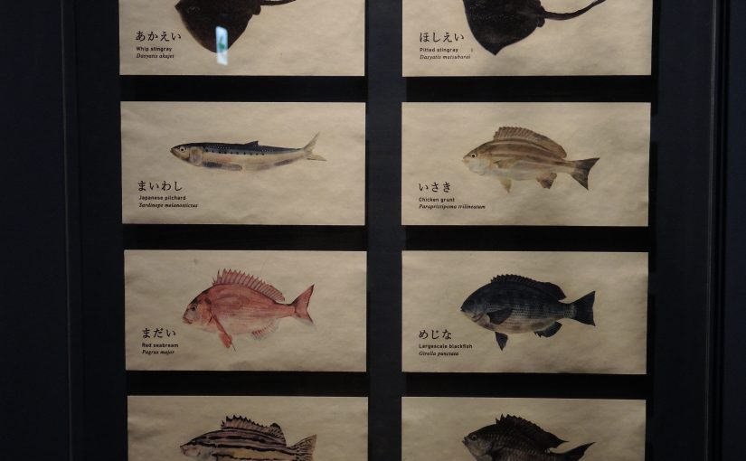 ひさびさ京都（4）京都水族館