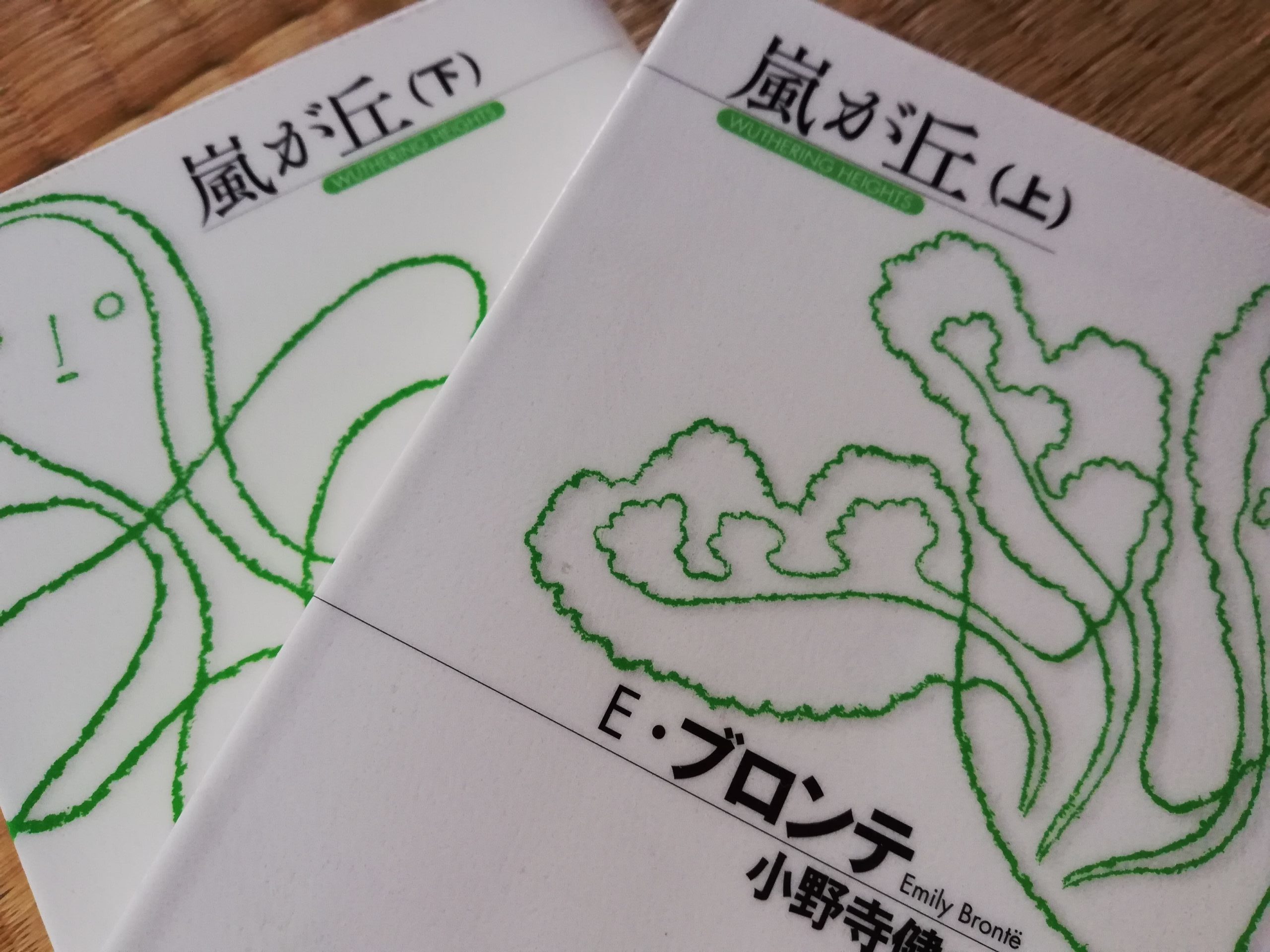 読書『嵐が丘（上・下）』（光文社古典新訳文庫）エミリー・ブロンテ著