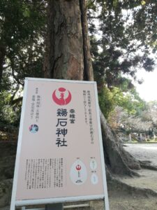 香椎宮　鶏石神社