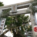 七月末、津屋崎・波折神社の恒例行事―今年も茅の輪をくぐって参りました♪