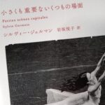 読書『小さくも重要ないくつもの場面』（白水社）シルヴィー・ジェルマン著／岩坂悦子訳