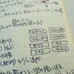 「1年を通して畑の作り方・野菜の作り方をまなぶ」畑レッスン進捗状況その4。