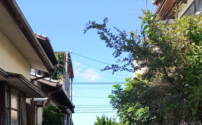 津屋崎の海