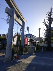 波折神社　茅の輪くぐり