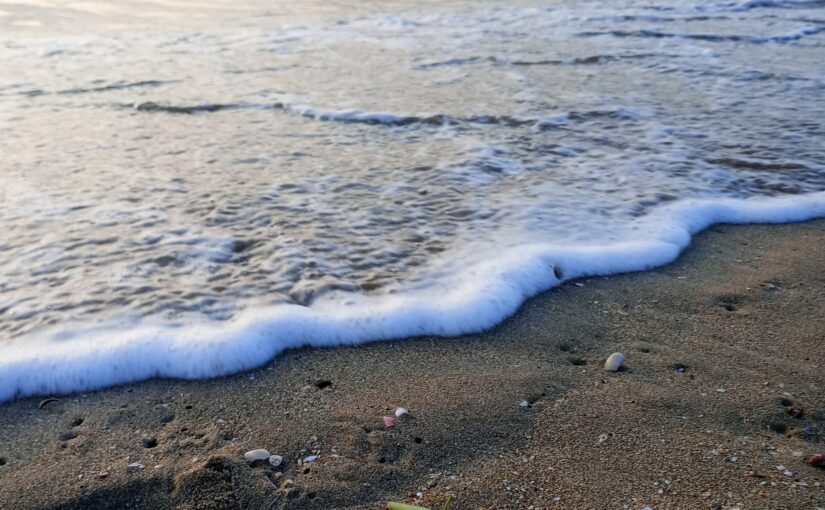 最近の津屋崎浜～宮地浜散歩で出会った「おっ！」あるいは「えっ？」な景色。