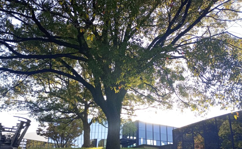 北九州市立響ホール