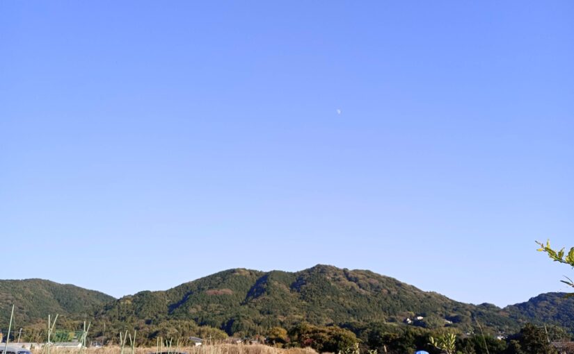 「1年を通して畑の作り方・野菜の作り方をまなぶ」畑レッスン進捗状況その7。