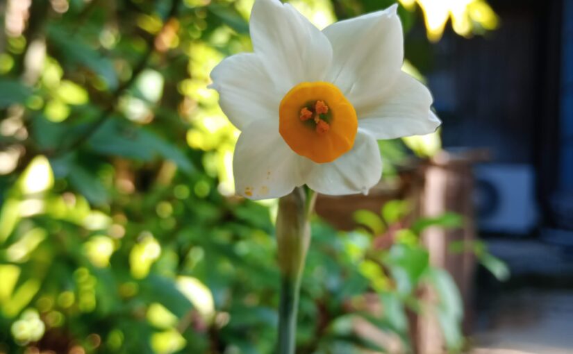 藤吉憲典の2026年展覧会予定など。