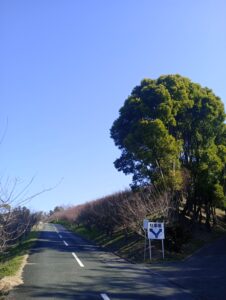あんずの里　春の景色