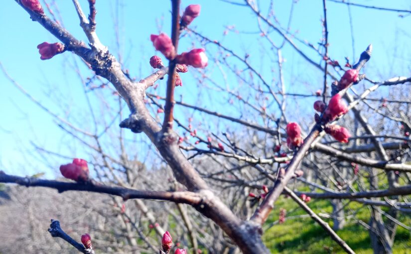 判断に迷ったり、知識が足りないと感じたときに―壁打ちとかセカンドオピニオンとか。