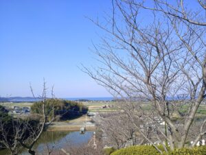 あんずの里　春景色