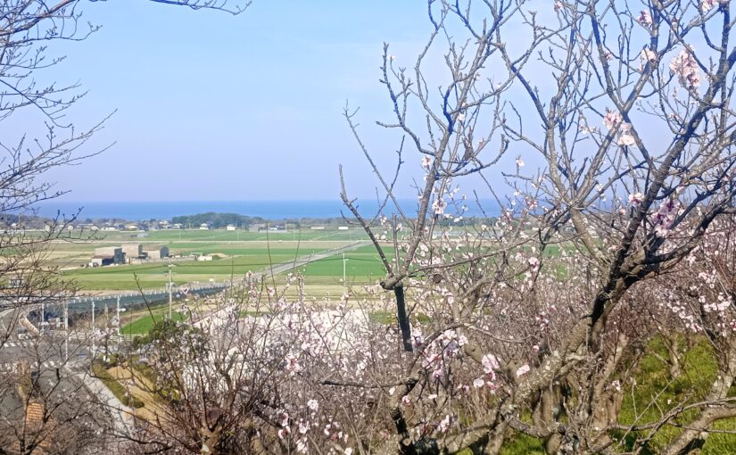 事業の目的や理想を実現するために、AIをどう使うか―めちゃ面白い勉強会でした。