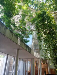 直方市立図書館