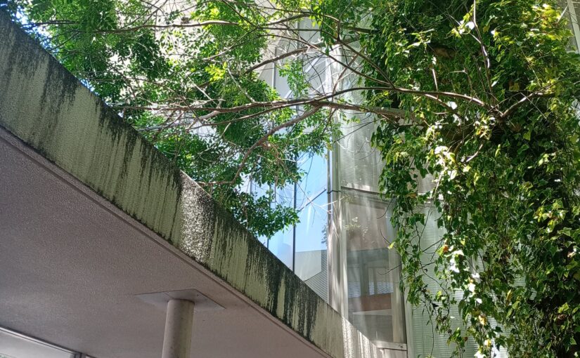 直方市立図書館